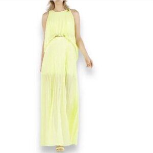 BCBG Maxazria Shaina Citron Sleeveless Pleated Gown Women's Size XXS Yellow